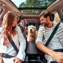 Thumbnail 6 de AYADA Dog Seat Belt adjustable 1m for cars 🐶