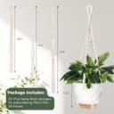 Thumbnail 2 de Bamworld 3 Pack Hanging Plant Pots self-watering planters 🪴