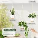 Thumbnail 5 de Bamworld 3 Pack Hanging Plant Pots self-watering planters 🪴