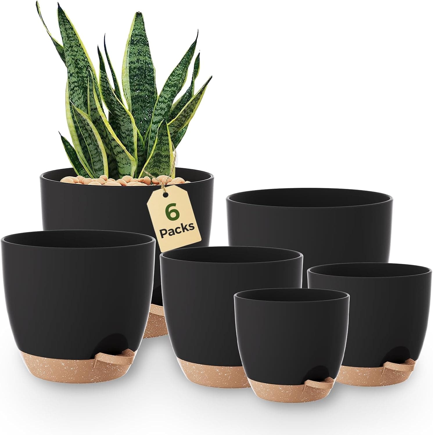 Bamworld Self Watering Plant Pots Set of 6 20.3 cm 🪴