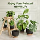 Thumbnail 2 de Bamworld Self Watering Plant Pots Set of 6 20.3 cm 🪴