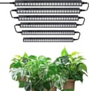 Thumbnail principal de Barrina T5 1FT LED grow light 30W for plants 💡