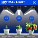 Thumbnail 3 de Barrina T5 1FT LED grow light 30W for plants 💡