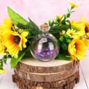 Thumbnail 3 de BELLE VOUS Spherical Glass Bottles 240ml Jar with Cork Stopper 🧴