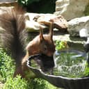 Thumbnail 5 de Biling 6W Solar Water Pump 3000mAh backup 🌊