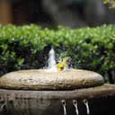 Thumbnail 6 de Biling 6W Solar Water Pump 3000mAh backup 🌊