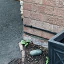 Thumbnail 4 de BIRD Key Rock fake rock key hider 🔐