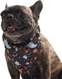 Thumbnail principal de BT Bear Halloween Dog Bandana M Black Ghost 🐶