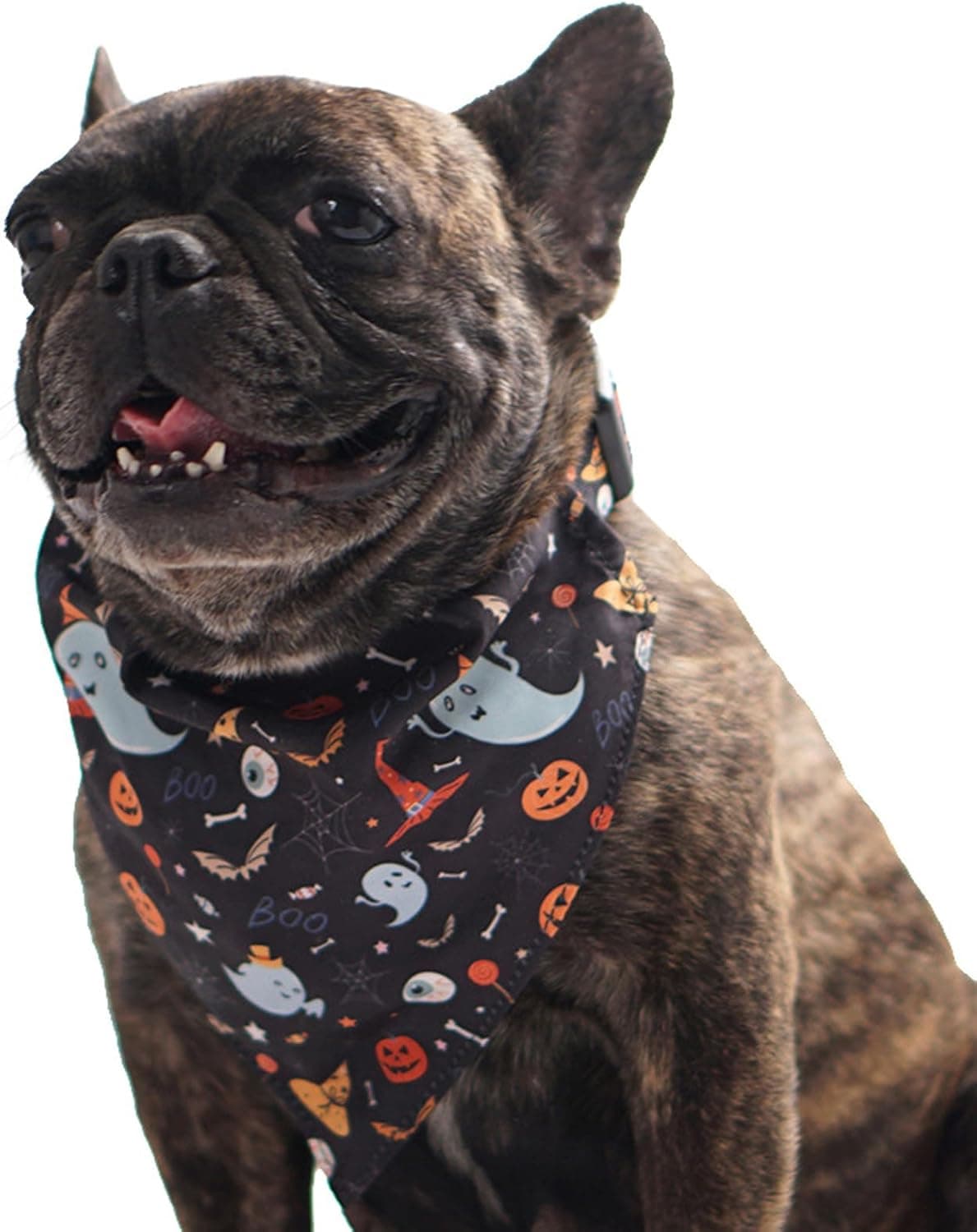 BT Bear Halloween Dog Bandana M Black Ghost 🐶