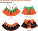 Thumbnail principal de BT Bear Pet Halloween Costume dog pumpkin hat small 🎭