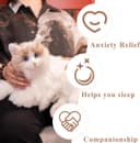 Thumbnail 4 de Chongker Ragdoll Interactive Robot Cat with heartbeat 🐱