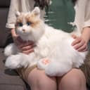 Thumbnail 6 de Chongker Ragdoll Interactive Robot Cat with heartbeat 🐱