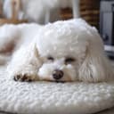 Thumbnail 4 de Chunky Yarn 250g x2 soft wool for blankets 🧶