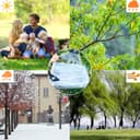 Thumbnail 4 de Clear Heavy Duty Tarpaulin 6.5x19.6ft 420 g/m² 🪣