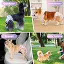 Thumbnail 5 de Cotemdery Dog Nappies 3-pack washable dog nappies 🐶