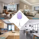 Thumbnail 6 de DANGZW Electric Fly Swatter 4000V 🪰