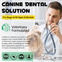Thumbnail 6 de Dental Formula Water Additive for Dogs 237ml 🪥