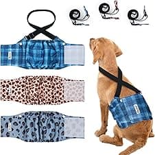 Dono Dog Nappies Male Reusable XS dog nappies 🐶