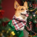 Thumbnail 4 de Elegant Little Tail Dog Bandana Christmas 1 size 🐶