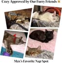 Thumbnail 2 de EMME Sherpa Ultra Soft Fleece Throw 152 x 203 cm 🛋️