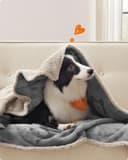 Thumbnail 3 de Feandrea PPB060G01 Waterproof Dog Blanket 152 x 127 cm 🐶