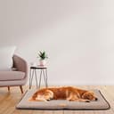 Thumbnail 2 de Ferplast Dog Bed 98 x 65 x 3.5 cm waterproof cushion 🐶