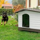 Thumbnail 7 de Ferplast DOGVILLA 90 outdoor dog kennel 88×72×65 cm 🐶