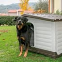 Thumbnail 8 de Ferplast DOGVILLA 90 outdoor dog kennel 88×72×65 cm 🐶
