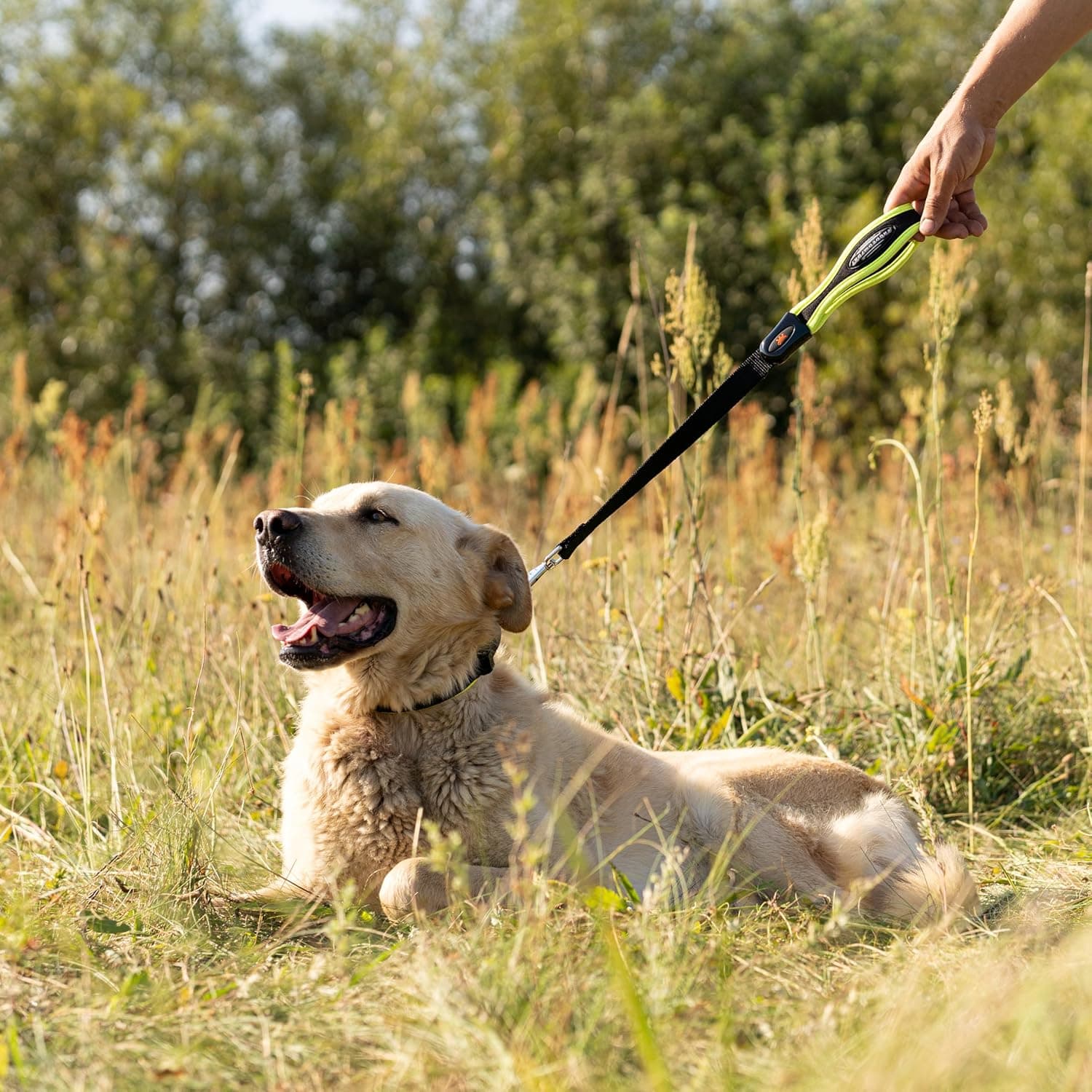 Ferplast ERGOFLUO GM 55 x 2.5 cm yellow dog lead 🐶