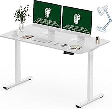 FLEXISPOT E1 One Piece electric standing desk 120×60 cm 🪑