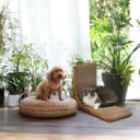 Thumbnail 5 de FUKUMARU L Shaped Cat Scratching Board 48 cm 🐱