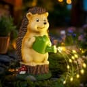 Thumbnail principal de GIGALUMI Hedgehog Garden Ornament for Outdoors 🪻🎯