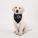 Thumbnail 4 de Graduation Dog Bandana "It Was Ruff, But We Did It" 🎁