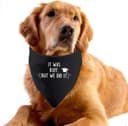 Thumbnail 5 de Graduation Dog Bandana "It Was Ruff, But We Did It" 🎁