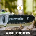 Thumbnail 3 de Greenworks G24PS20K2 24V pole saw 2.6m reach 🚜