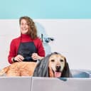 Thumbnail 4 de heavenlife 4 Pcs Pet Towels 35x75 cm microfiber dog towel 🐾