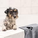 Thumbnail 5 de heavenlife 4 Pcs Pet Towels 35x75 cm microfiber dog towel 🐾