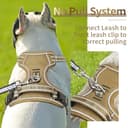 Thumbnail 5 de HEELE Dog Harness L adjustable no-pull padded harness 🐶