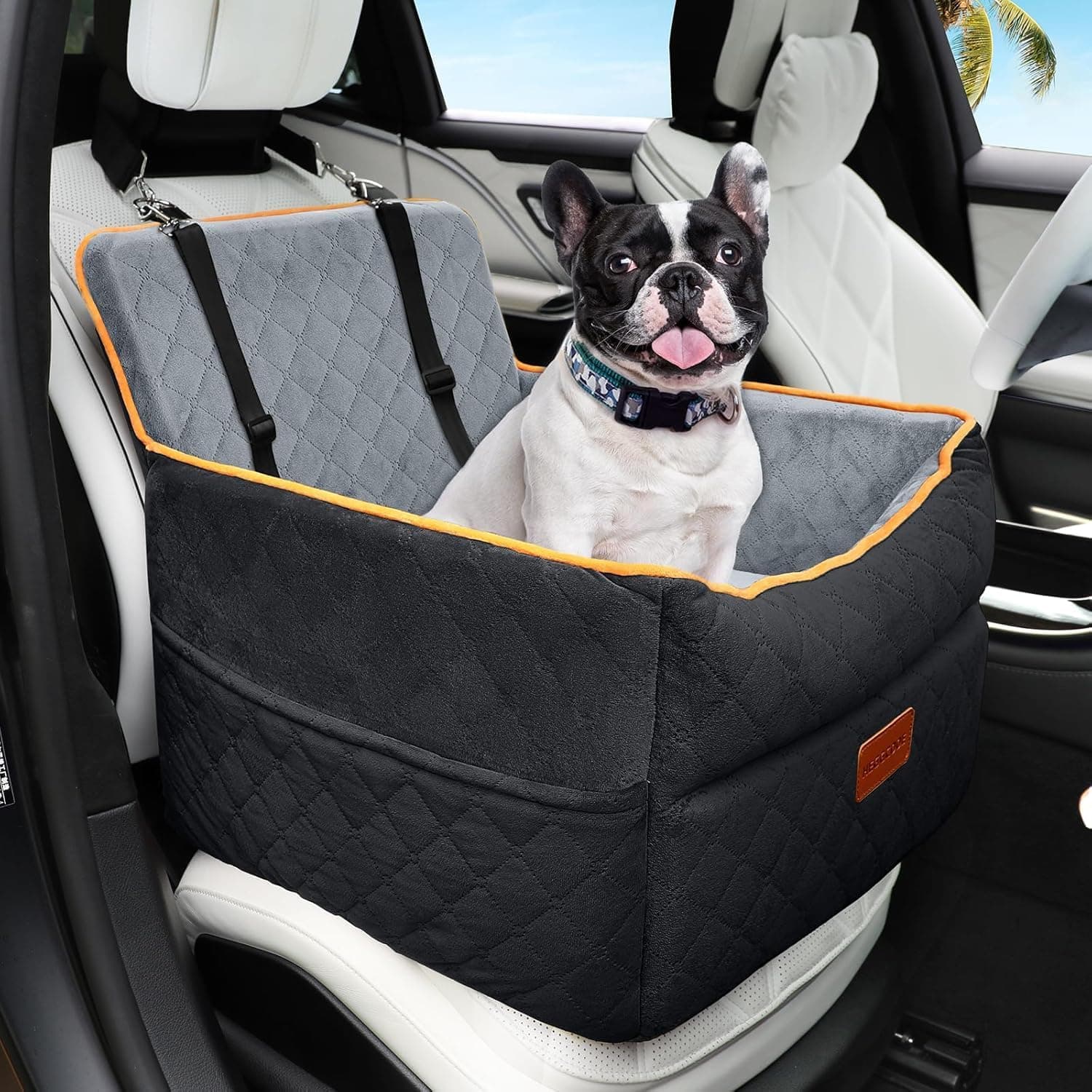 HEGGCOOE Small Dog Car Seat with Memory Foam, 2 Safety Belts 🐶🎐