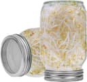 Thumbnail 4 de Hisredsun Seed Sprouting Jar Kit 1000ml 🌱