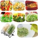 Thumbnail 5 de Hisredsun Seed Sprouting Jar Kit 1000ml 🌱