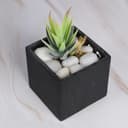 Thumbnail 3 de Hisredsun White Polished River Pebbles 2.1lb for Landscaping 🪨