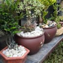 Thumbnail 4 de Hisredsun White Polished River Pebbles 2.1lb for Landscaping 🪨