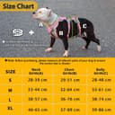 Thumbnail 1 de Huntboo Escape Proof Dog Harness M, anti-pull, breathable 🐶