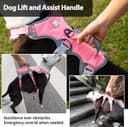 Thumbnail 3 de Huntboo Escape Proof Dog Harness M, anti-pull, breathable 🐶