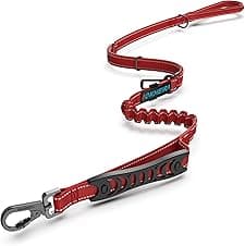IOKHEIRA Red Zinc Alloy Dog Lead 🐶