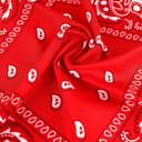 Thumbnail 2 de ISIYINER Paisley Bandanas 12-pack neck scarves 🎀