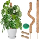 Thumbnail principal de Joaercs Moss Pole 60 cm plant support for climbers 🌿