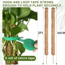Thumbnail 1 de Joaercs Moss Pole 60 cm plant support for climbers 🌿