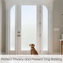 Thumbnail 5 de Lifetree Frosted Window Film 44.5x200 cm 🪟